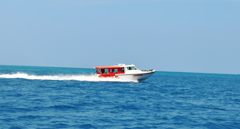 DSC_0615.JPG