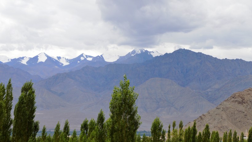 DSC_0022.JPG