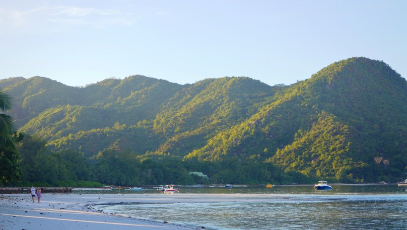 DSC_0262.JPG